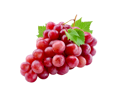 Garden Fresh Juicy Grapes for a Burst of Sweetness in Every Bite