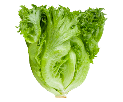 Whole Foods Market, Romaine Hearts Salad Bag Organic